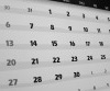 Monthly & Yearly Calendar 2010-2011